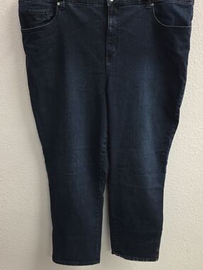 Gloria Vanderbilt Amanda Indigo Denim Jeans 22W Plus